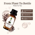 thumbnail image 5 of SVA Coffee Essential Oil – 1/3 Fl Oz – 100% Natural Coffee Oil - for Diffuser, Hair Care, Face, Skin Care, Aromatherapy, Scalp and Body Massage, Soap and Candle Making, 5 of 8