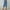Blue, variant on Elvqul Capris for Women Plus Size Clearance Black Womens Pants Clearance Cropped Summer Pockets Pants