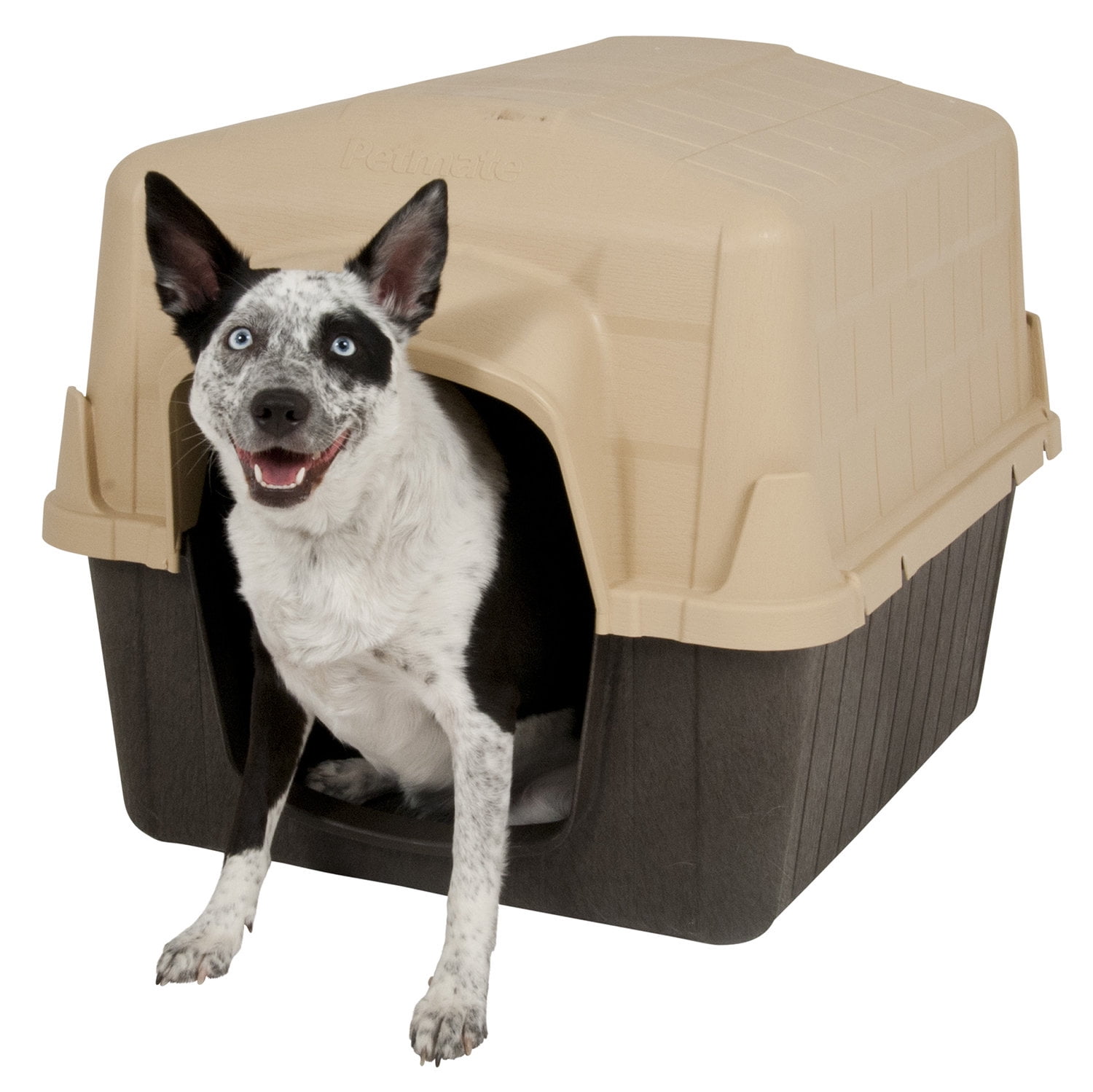 petbarn soft dog crates