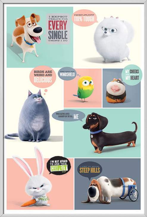 the secret life of pets movie in stores the secret life of pets movie in stores
