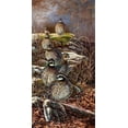 thumbnail image 2 of Mock, Carolyn 14x24 White Modern Wood Framed Museum Art Print Titled - Quail Trail, 2 of 4