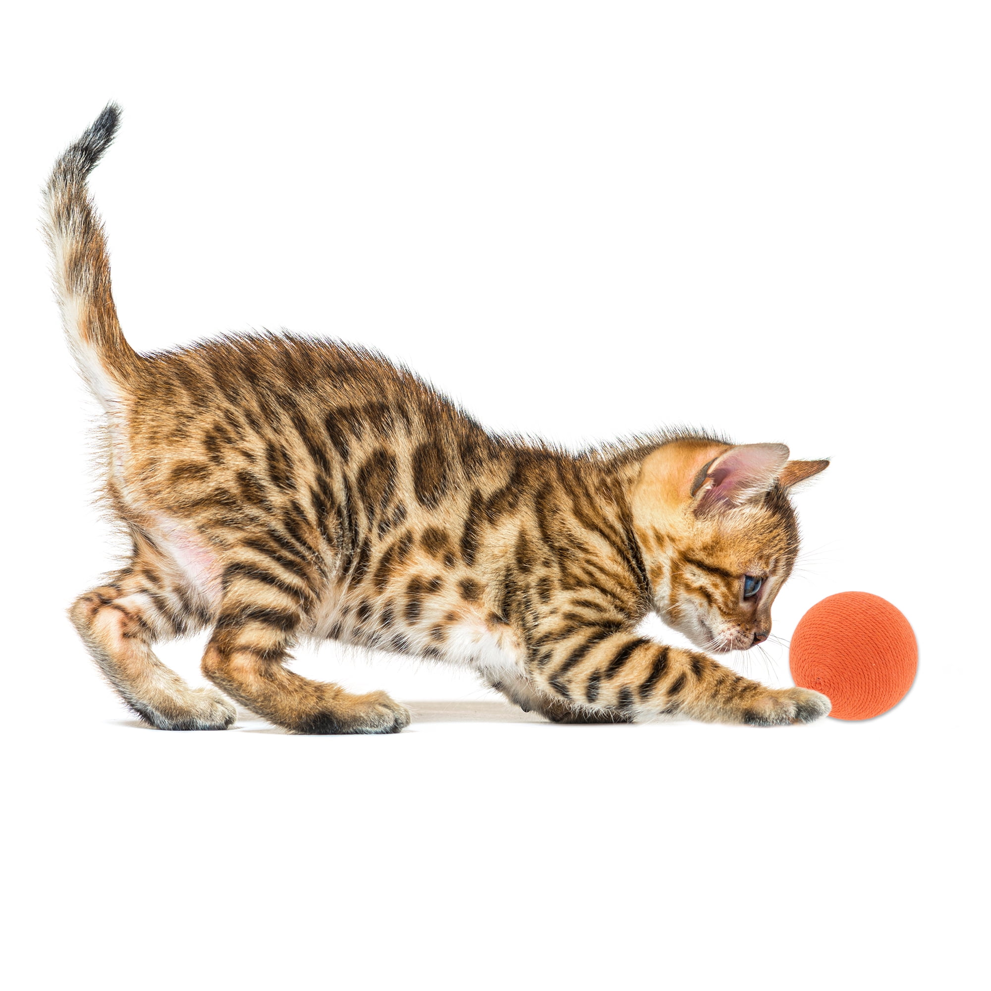 Unique Bargains Playing Ball with Bell for Cat Playtime Orange