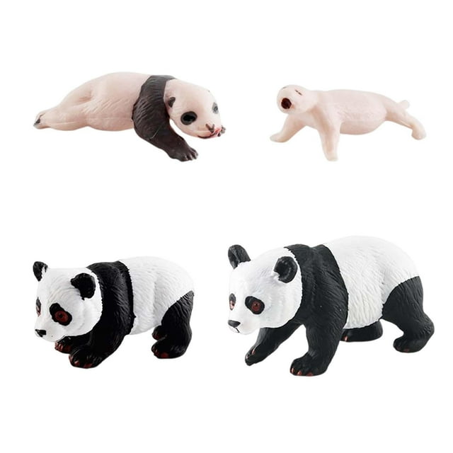 Modèle 4 Étapes de la Science des Jeux Jouets Éducatifs Modèles de style de Cycle de Croissance Animale B
