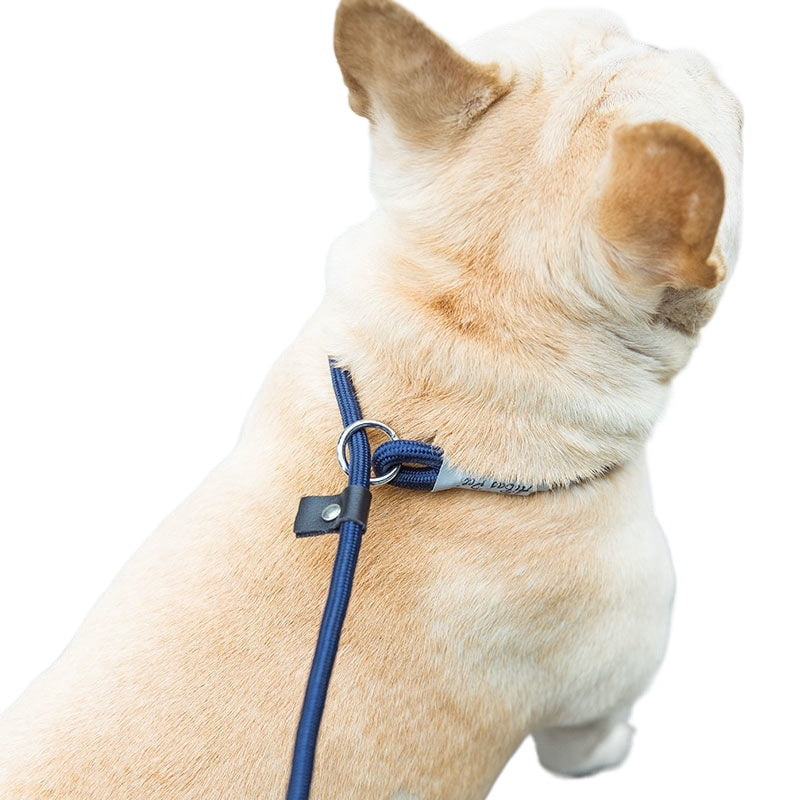 Adjustable Collar Harness Dog Leash Nylon Pet Lead Leash Dog Harness Durable Rope Belt Lightweight Dog Accessories Cat Collar