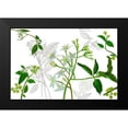 thumbnail image 2 of Wang, Melissa 18x13 Black Modern Framed Museum Art Print Titled - Solanum I, 2 of 5