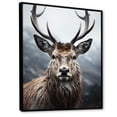 thumbnail image 2 of Designart "Monochrome Photography of Deer I" Animals Floater Framed Canvas Print, 2 of 7