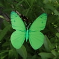 thumbnail image 4 of THHEIC 1 Pack 3D Butterfly Stakes for Garden Decor, 12cm Fake Butterflies Stake for Lawn, Patio, Yard, Pathway, Indoor and Outdoor Ornaments, 4 of 4