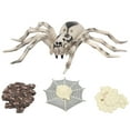 thumbnail image 4 of Modelo de insecto de simulación, modelo de insecto de alta simulación, modelo de insecto, juguete de regalo, modelo de insecto, resultados impresionantes, 4 of 8