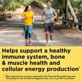 thumbnail image 5 of Nature Made Multivitamin Gummies, Gummy Vitamins for Nutritional Support, 150 Count, 5 of 12