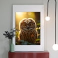 thumbnail image 2 of Diamond Art Kit for Adults, Owl Glasses Forest Glow Diamond Painting for Adults Beginners, DIY Diamond Art Painting Kits, 5D Diamond Painting Crafts for Home Decor 12x16 Frameless, 2 of 7
