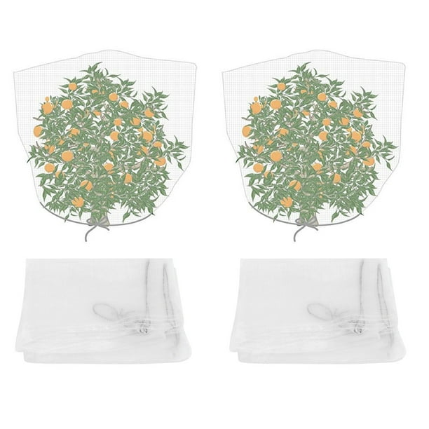 Tebru 2pcs Insect Bug Barrier Netting Mesh Fruits Plant Tree Protection