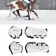 thumbnail image 1 of Botas Delanteras Abiertas para Caballos Botas para Tendones de Caballos Botas Ligeras para Caballos Delanteras Abiertas Botas para Tendones Fetlock para Caballos Botas ANGGREK Otros, 1 of 8