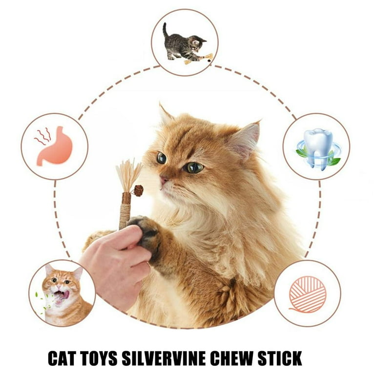 senior cat food wet Weruva Senior Cat Food in Gravy