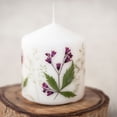 thumbnail image 6 of 48 Pcs Natural Dried Daisy Flower Dried Pressed Flower for Art Crafts,White, 6 of 6