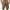 Khaki, variant on JMKQLZ Men's Long Cargo Shorts Casual Below Knee Shorts Relaxed Fit with Zipper Pockets