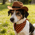 thumbnail image 3 of Pet Cowboy Hat & Bandana Set - Western Style Costume for Dogs/Cats, Pet Clothing Gift For Pet Mom, Adjustable Hat, 3 of 12