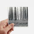 thumbnail image 1 of Forest Winter Snow Trees Frost Sticker Square Waterproof Stickers Wallpaper Car Decal, 1 of 1