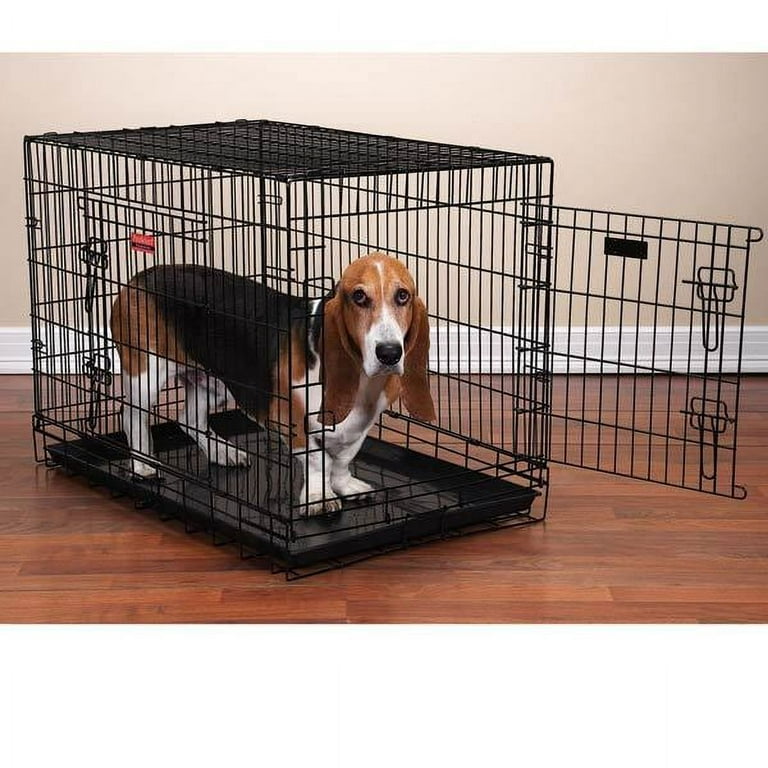 Pet Pals ZW607 42 Everlasting Crate with Dual Doors Lrg 42x28x31 In S Walmart