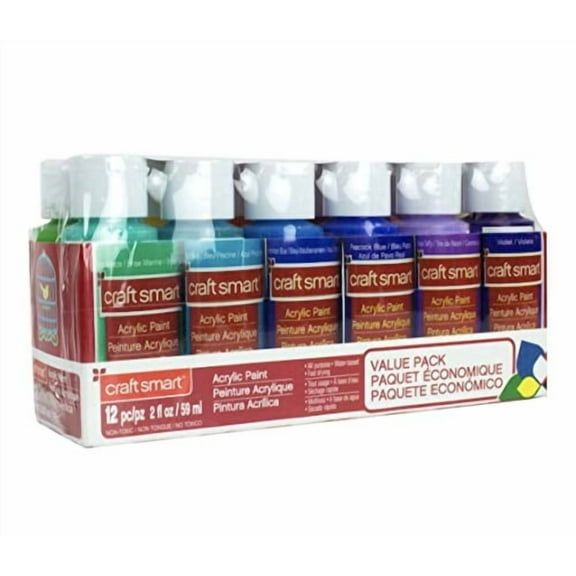 Acrylic Paint Value Set by Craft Smart Bright