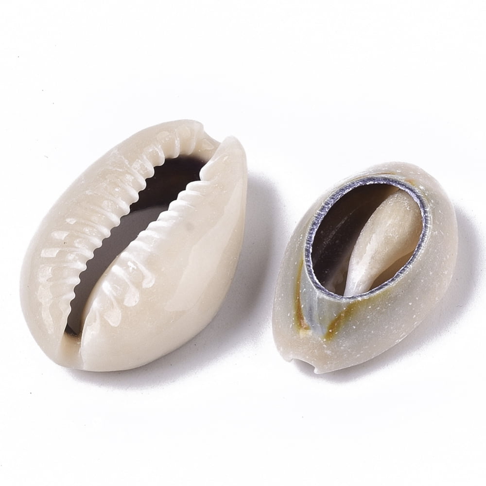 500g Natural Cowrie Shell Beads No Hole/Undrilled Linen 22~28x16~19x8~9mm 220pcs/500g