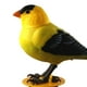 thumbnail image 5 of Juguete electrónico Yotijar aves musicales simuladas pájaro cantor, 5 of 8