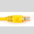 thumbnail image 2 of Black Box GigaTrue - Patch cable - RJ-45 (M) to RJ-45 (M) - 6 ft - CAT 6 - booted, snagless, stranded - yellow, 2 of 2