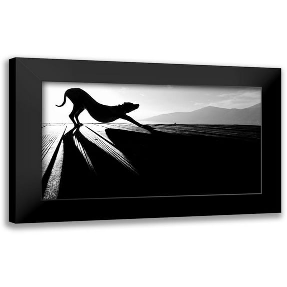 Frick, Christine 18x12 Black Modern Framed Museum Art Print Titled - sun salutation