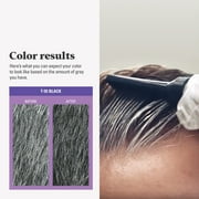 Just For Men Touch of Gray Hair Color Black Instant Gray Blending Ammonia Free Peroxide Free 1 Application Kit