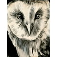 thumbnail image 2 of Parker, Jennifer Paxton 12x14 Black Ornate Wood Framed with Double Matting Museum Art Print Titled - Charcoal Owl II, 2 of 4