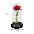 thumbnail image 2 of Eternal Silk Flower Rose Jar - INS Románticas con Cubierta de de San Valentín para Niñas base negra Hugo rosa eterna, 2 of 7