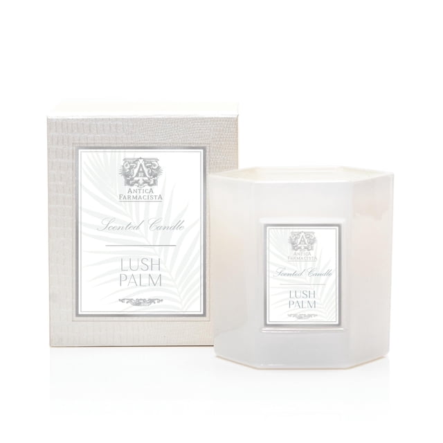 Candle Antica Farmacista con aroma a palmeras exuberantes de tres mechas