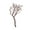 Natural, variant on Vickerman Manzanita Tree Natural 24", Dried