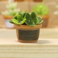 thumbnail image 2 of Casa de muñecas Sunnimix Resina Mini Bonsai Suministros de Paisaje Estilo D, 2 of 7