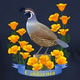 thumbnail image 3 of CafePress - California Quail And Golden Poppy T Shirt - Men's Fitted T-Shirt, 3 of 4