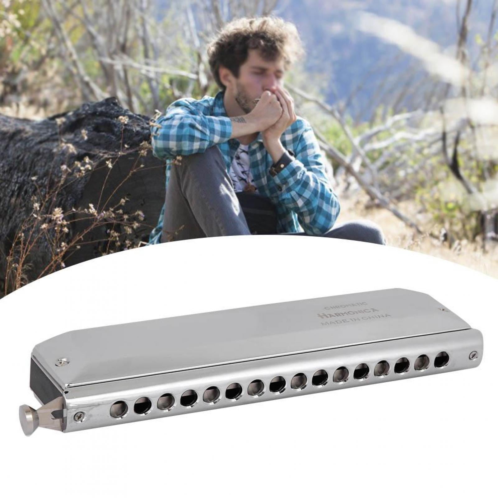 Buy Chromatic Mouth Organ, Harmonica Generous 12 Holes/16 HolesOptional For Beginners For