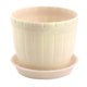 thumbnail image 1 of Plantas de adorno de escritorio de plástico para oficina, maceta de cactus, maceta beige, 1 of 3