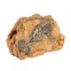 thumbnail image 3 of Reptile Basking Platform Turtle Hide Cave for Tortoise Lizard Snake Durable Lifelike Design Crawling Pet Resting Spot Hiding Place, 3 of 4