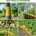 thumbnail image 5 of Yellow Double-Sided Sticky Insect Trap Tape, Fly Fruit Fly Glue Tape, Pest Control Sticky Ribbon for Orchard, Greenhouse, Garden Landscape Farm Use, 5 of 10