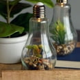 thumbnail image 5 of Edison Light Up Succulent Garden Terrariums, Set of 2, Clear Glass, Pebbles, Plastic and LED Blub, Push-Button On/Off Switch, 9 Inches, Batteries Included, 5 of 9
