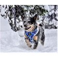 thumbnail image 4 of Arnés para perros EcoBark Max Comfort para perros medianos y grandes, 4 of 8