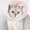 C, variant on Breathable Air Mesh Cat Cone Collar Soft to Stop Licking, Adjustable, Foldable Lightweight Kitten Cones After Surgery Recovery for Cats & Kittens