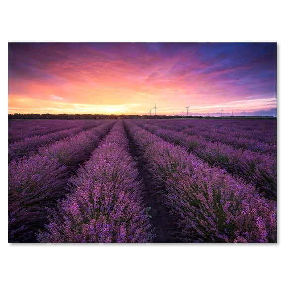 Designart ' Dramatic Clouds and Sunrise Over Lavender Field XIII ' Farmhouse Canvas Wall Art Print