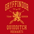 thumbnail image 2 of Men's Harry Potter Gryffindor Quidditch Gold Team Seeker Pull Over Hoodie Red 3X Large, 2 of 4