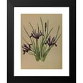 thumbnail image 2 of Arentine H. Arendsen 19x24 Black Modern Framed Museum Art Print Titled - Iris Reticulated (1872-1881), 2 of 5