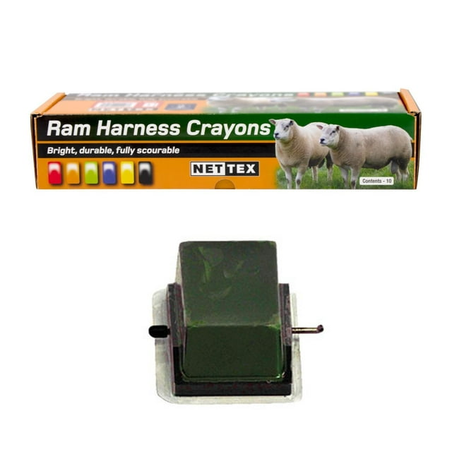 Nettex Craies de Cire à Froid (Lot de 10)
