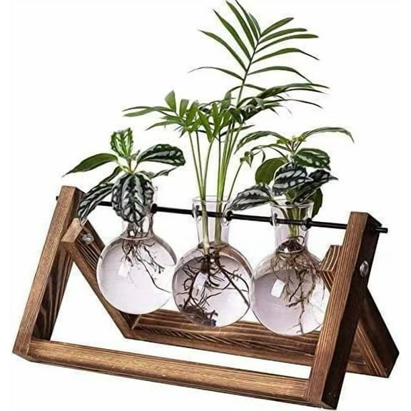 SUSWIM Plant Propagation Station, Plant Terrarium with Wooden Stand, Unique Gardening Birthday Gifts for Women Plant Lovers, Home Office Garden Decor Planter - 3 Bulb Glass Vases