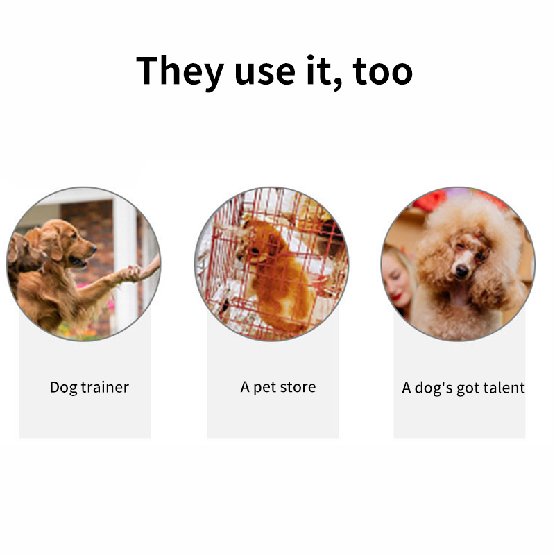 multifun dog training collar