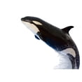 thumbnail image 2 of Killer Whale Wall Decal by Wallmonkeys Peel and Stick Graphic (36 in W x 32 in H) WM151482, 2 of 4