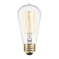 thumbnail image 1 of 60W Vintage Edison S60 Squirrel Cage Incandescent Filament Light Bulb, 1 of 5