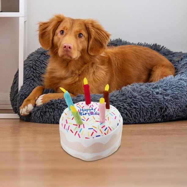 Cake Dog Toy Pet Products Kitty Funny Interactive Birthday Cake
